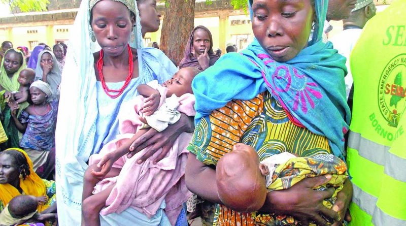 Over 17,000 Babies Born in 18 Borno IDP Camps Since 2019